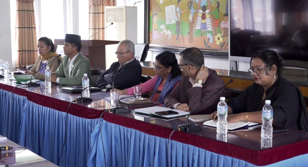 एमालेले भन्यो :बजेट गैरजिम्मेवार र हावादारी छ