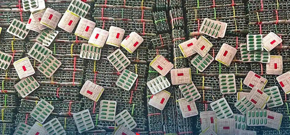 काठमाडौँबाट ७२ हजार ९०० ट्रामाडोल क्याप्सुलसहित दुई पक्राउ