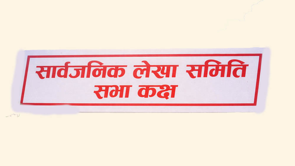 सार्बजनिक लेखा समितिको उपसमिति गठनमा भागबण्डा