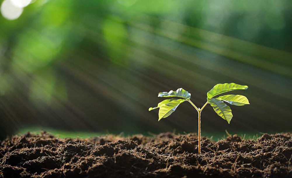 आज राष्ट्रिय भू-संरक्षण दिवस मनाइँदै