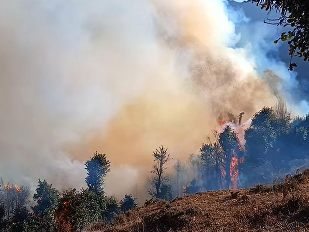 फ्रान्समा डढेलोबाट दोस्रो विश्वयुद्ध यताकै धेरै क्षति