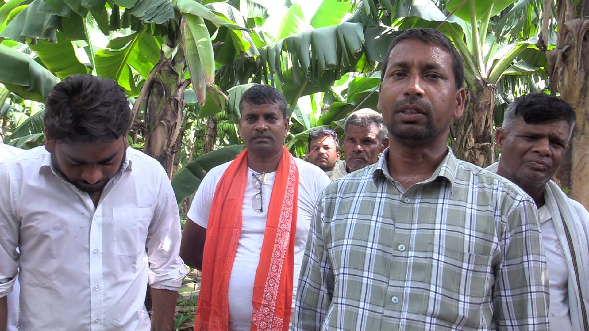 भारतीय केराको आयातमा कडाइ, नेपाली किसानमा उत्साह 