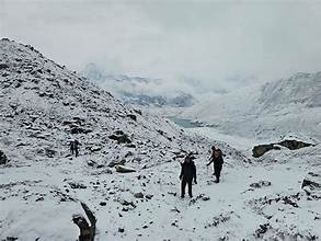हुम्लामा जडिबुटी संकलन गर्न पुगेका एकको मृत्यु ९ जना सम्पर्कविहीन