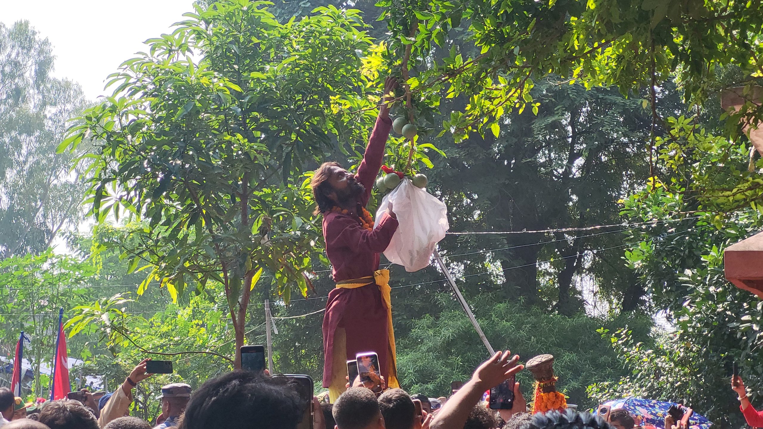 मिथिलाञ्चल क्षेत्रमा ‘बेलतोडी’ : यस्तो विधि र परम्परा